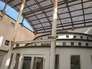 IMG_2333.jpg
