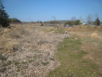 IMG_7503.jpg