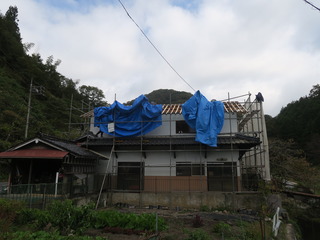 IMG_9858.JPG